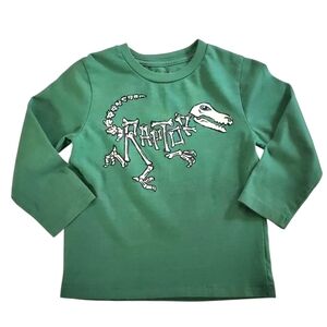 K1386 * Baby Gap Boys Raptor Dinosaur Long Sleeve Graphic Tee Green Size 3T